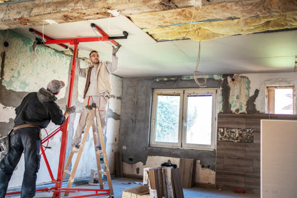Best Insulation Contractors for Homes  in Bristol, VA