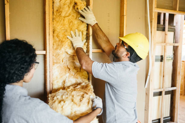 Best Insulation Replacement Services  in Bristol, VA