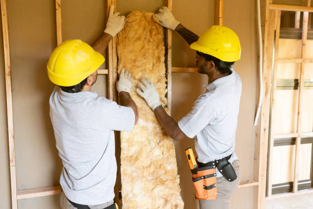 Best Fiberglass Insulation  in Bristol, VA